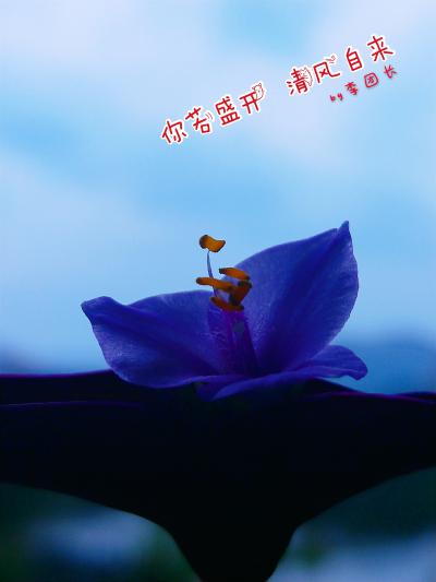李先生