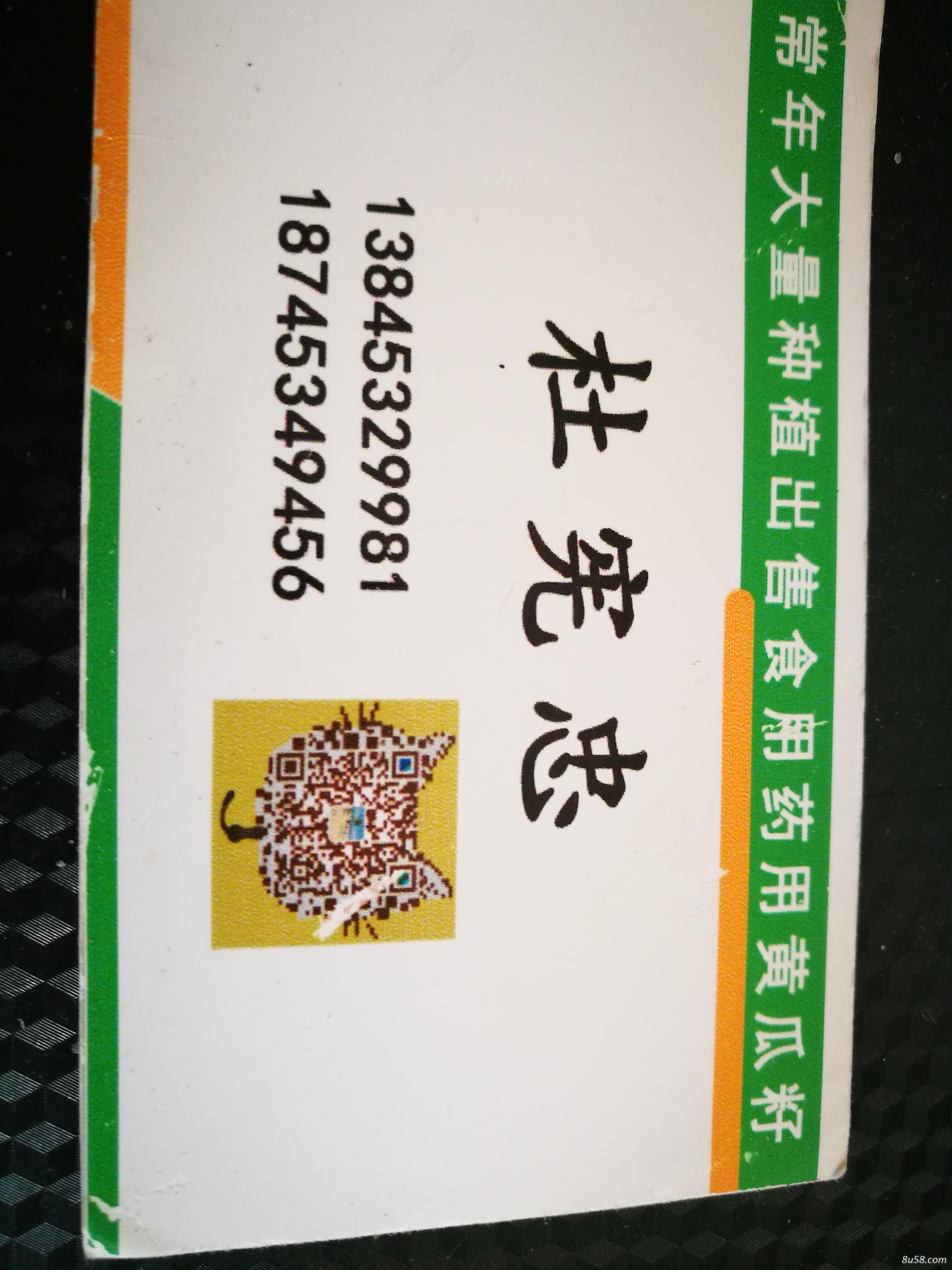杜宪忠