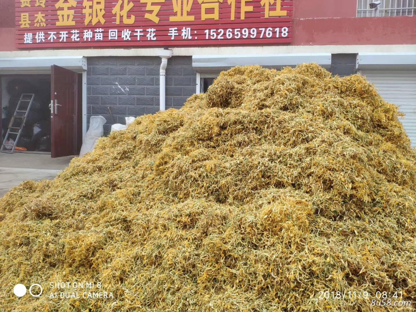 刘荣杰