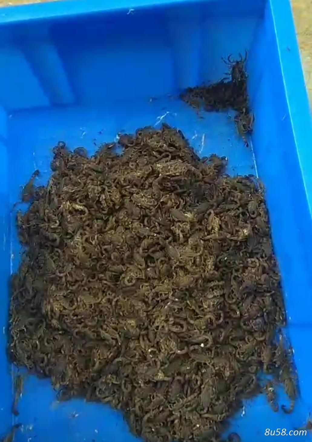 陈先生