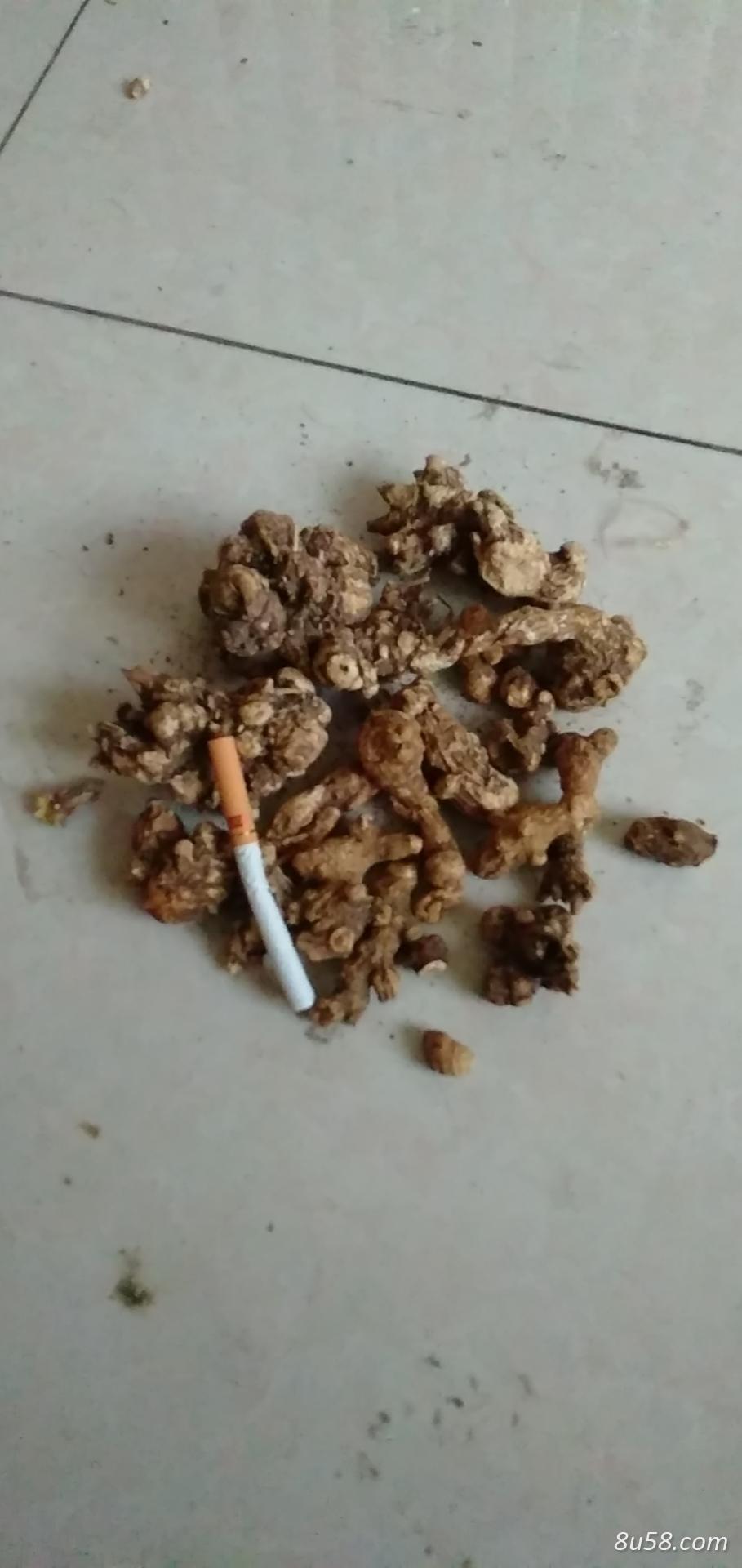 周文斌