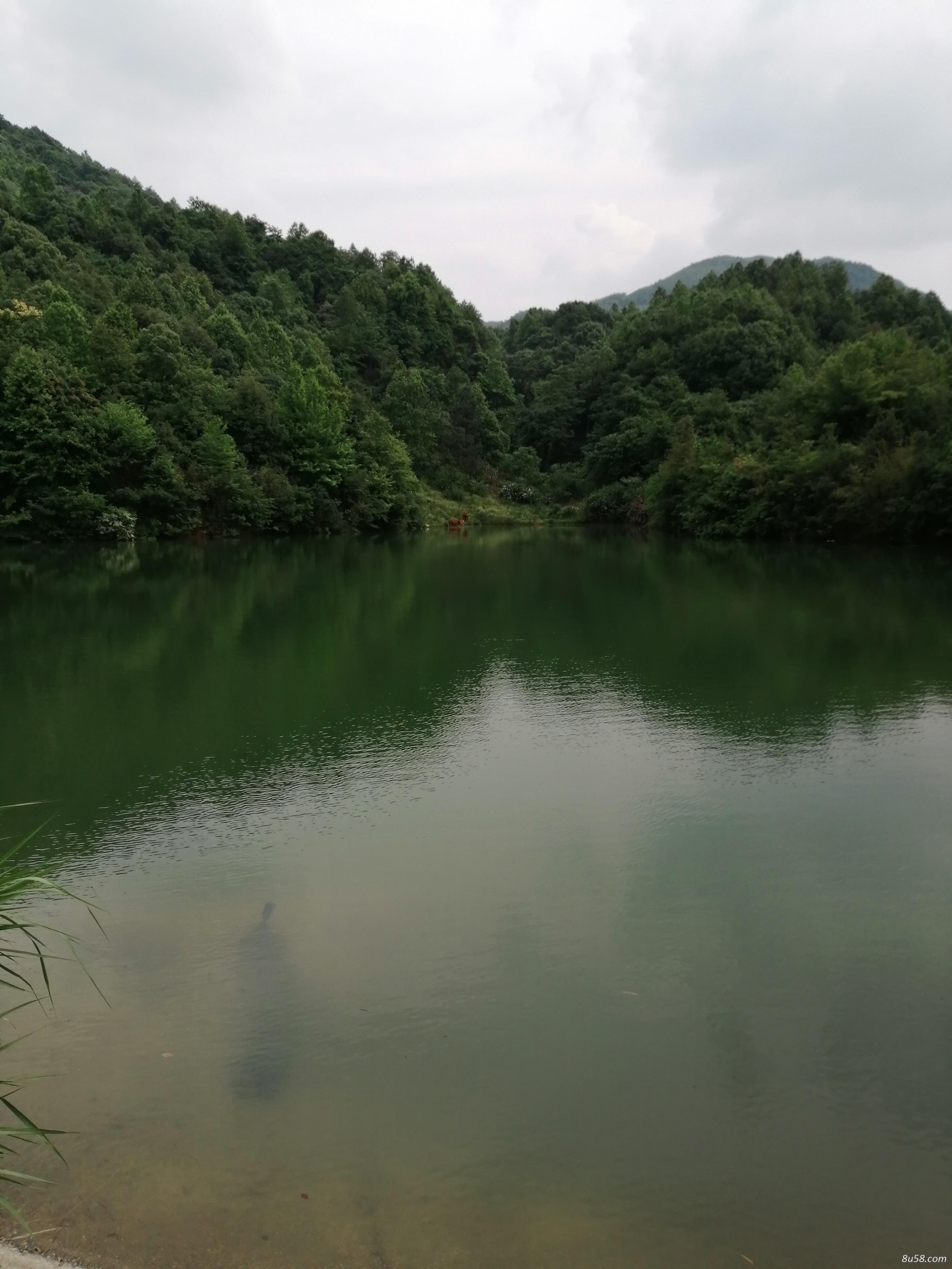 吴生