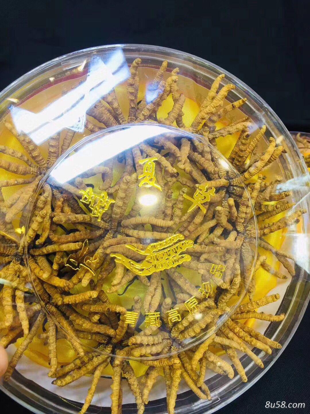 明驰药业商行