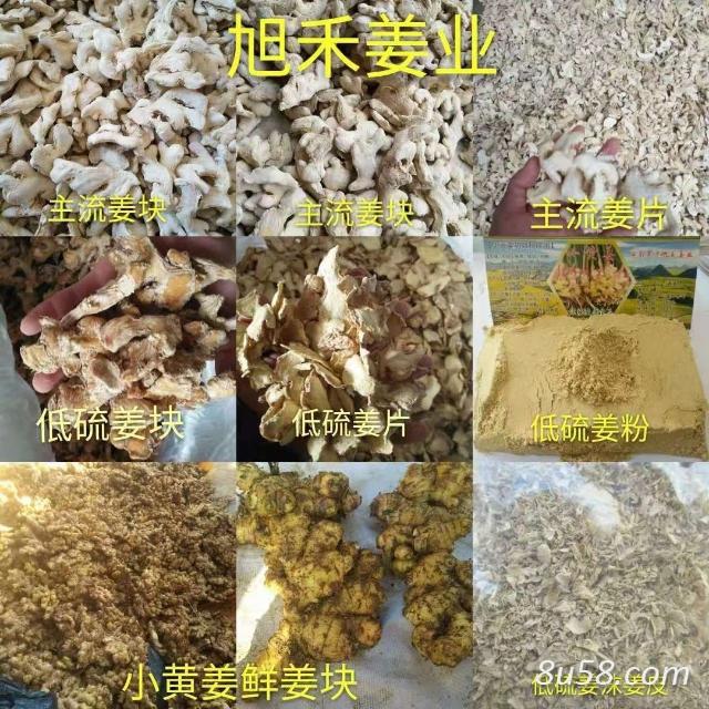 旭禾姜业购销专业合作社