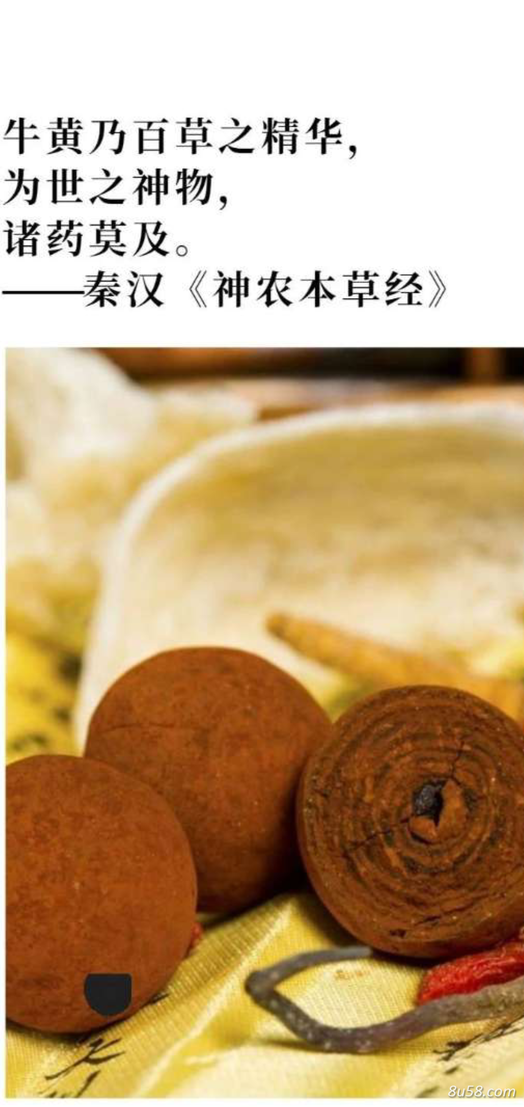 郑先生