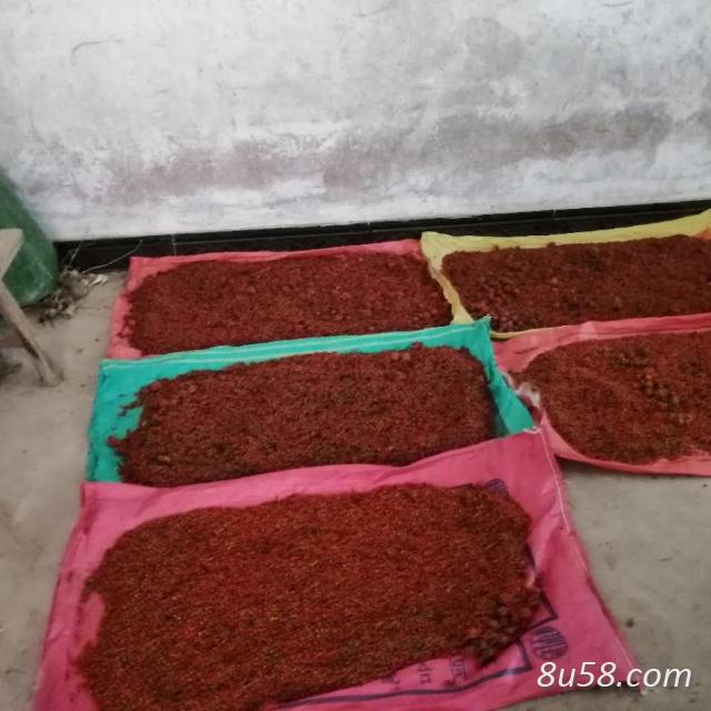 曾金龙
