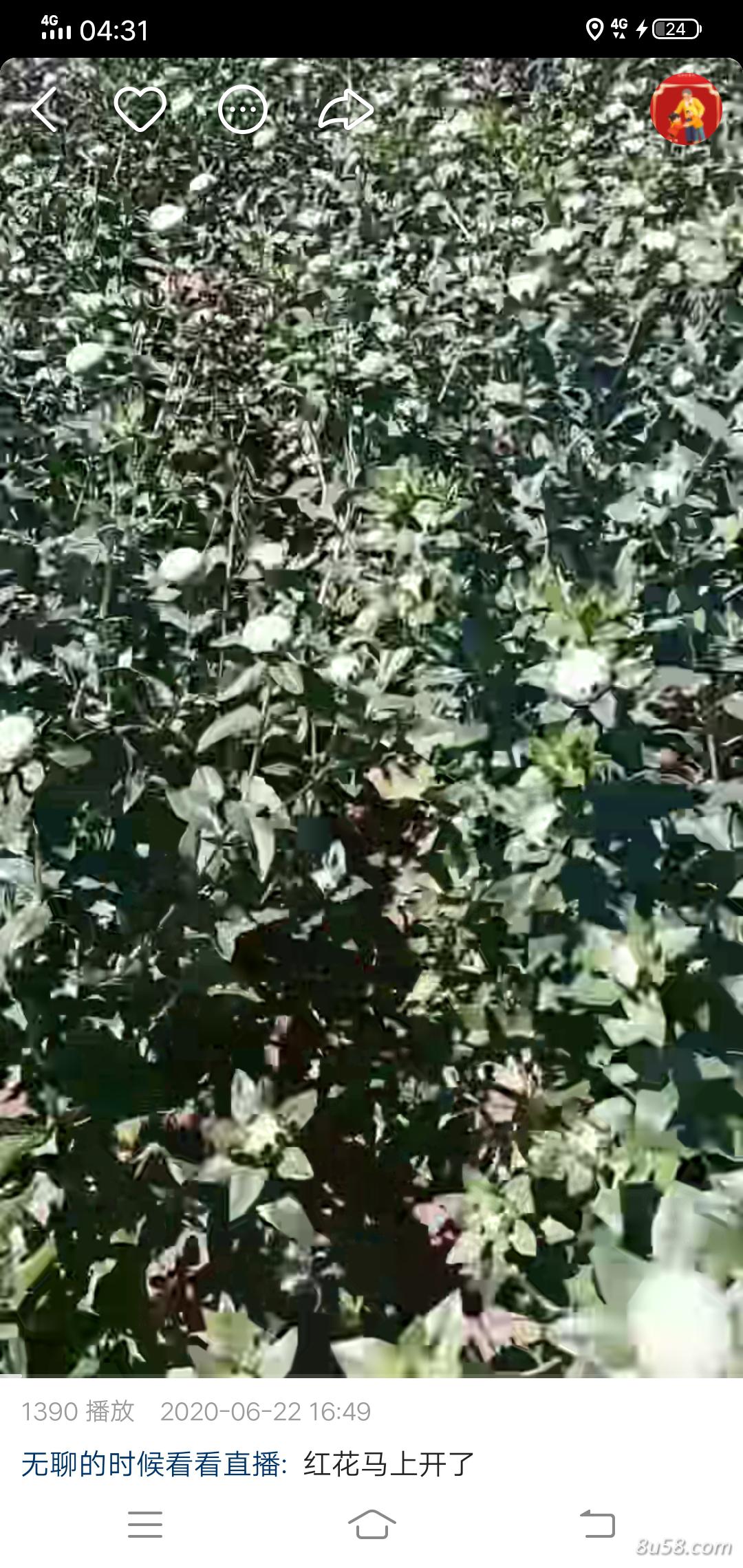 马德胜