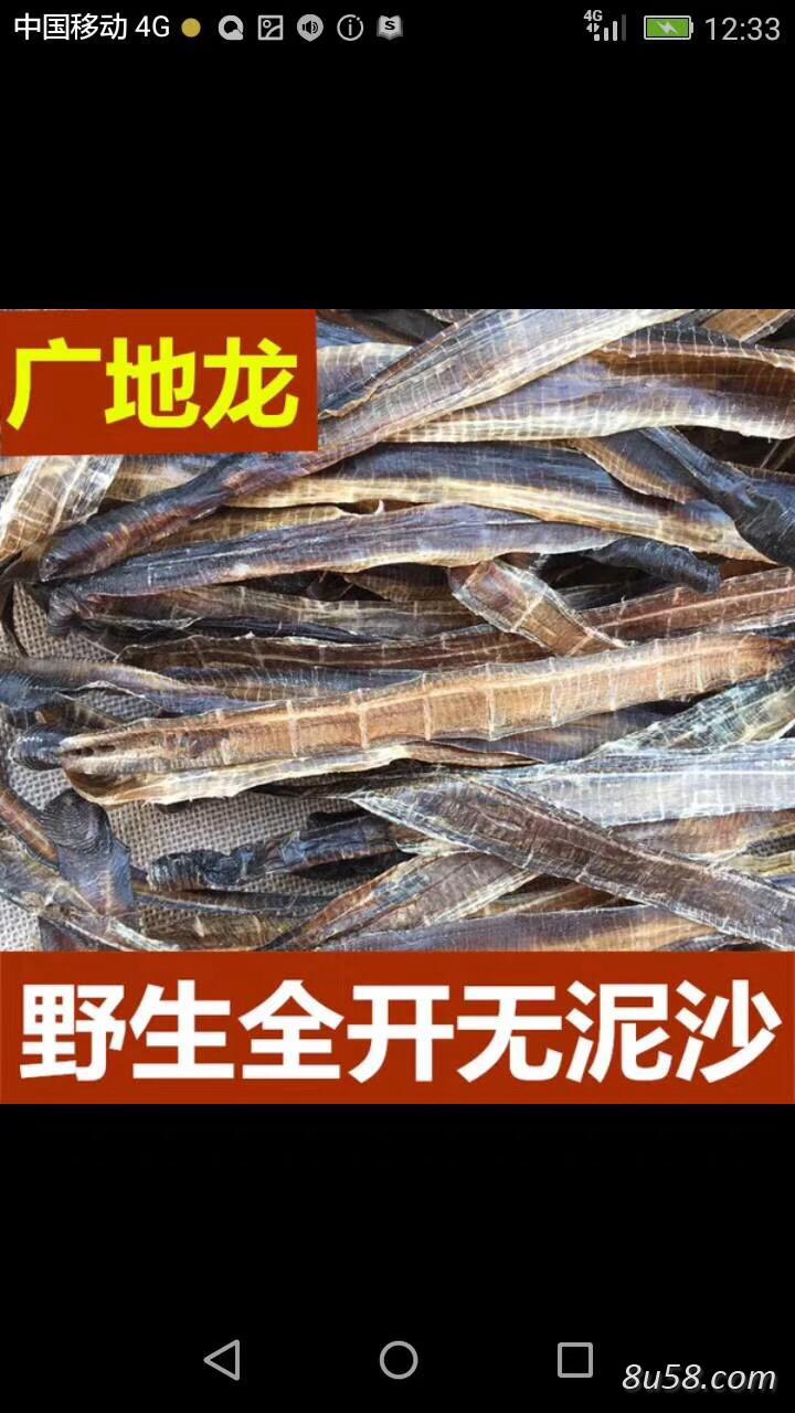 甄生