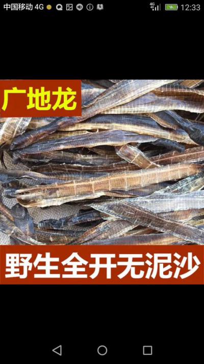 甄洪舟