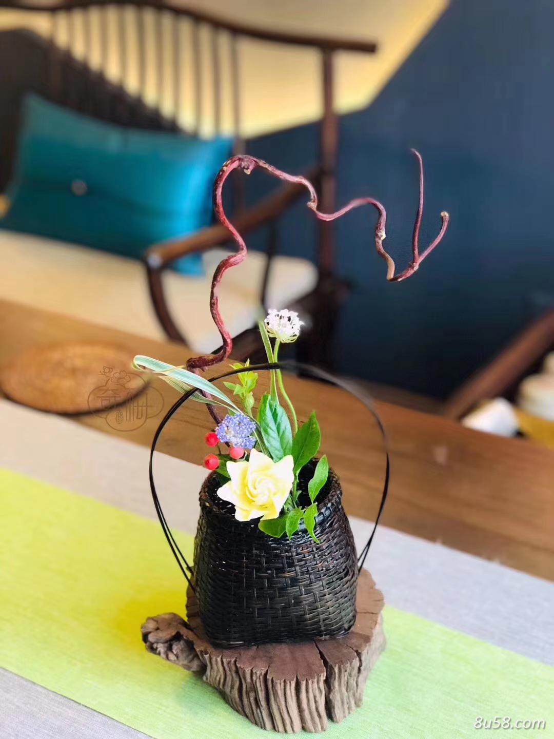 水哥的吴茱萸