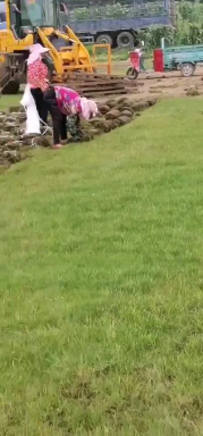 诚泰生态农业有限公司