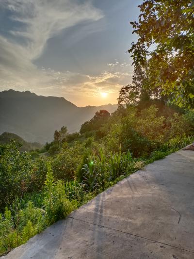 阿龙 阿龙