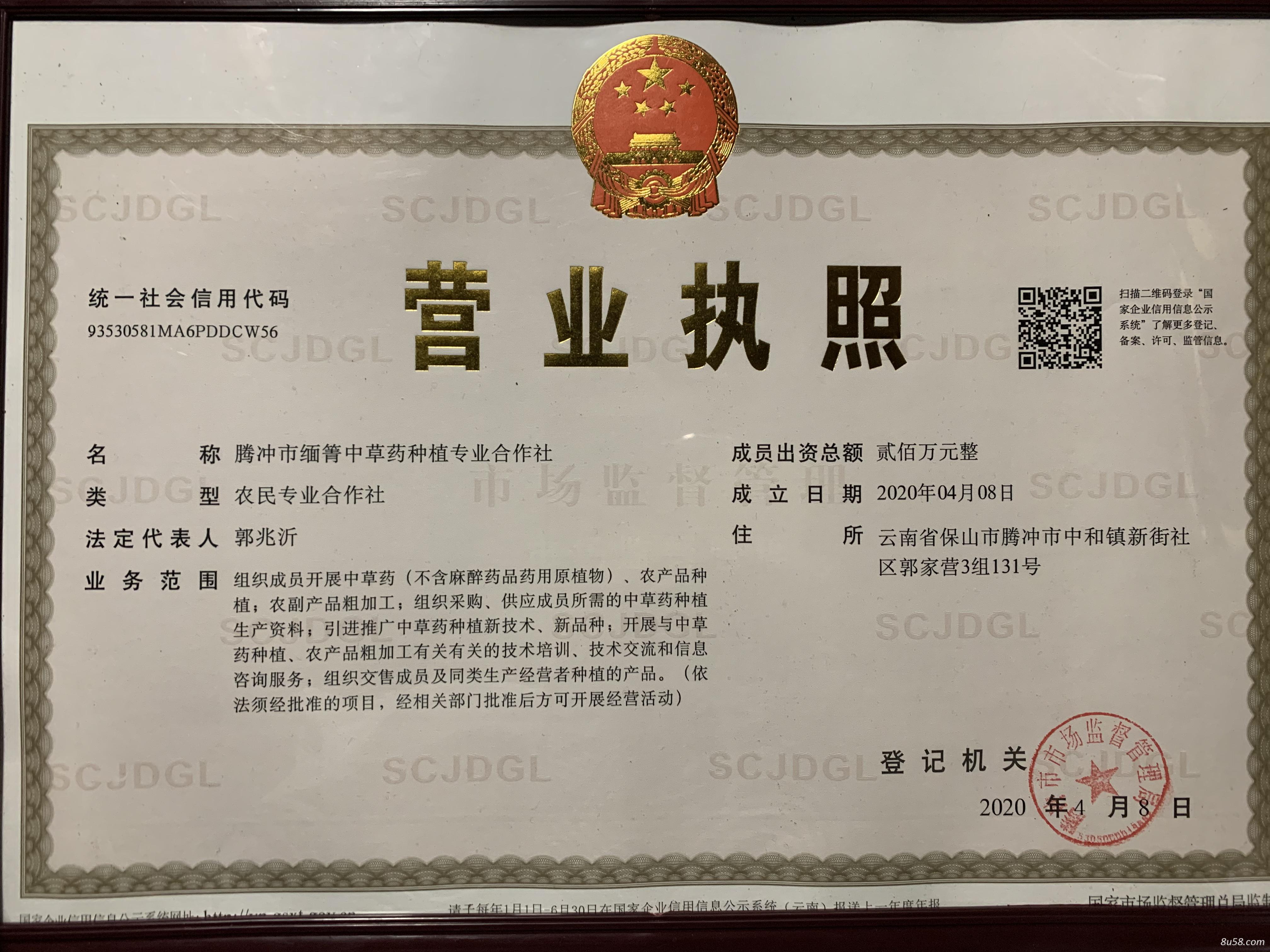 缅箐中草药
