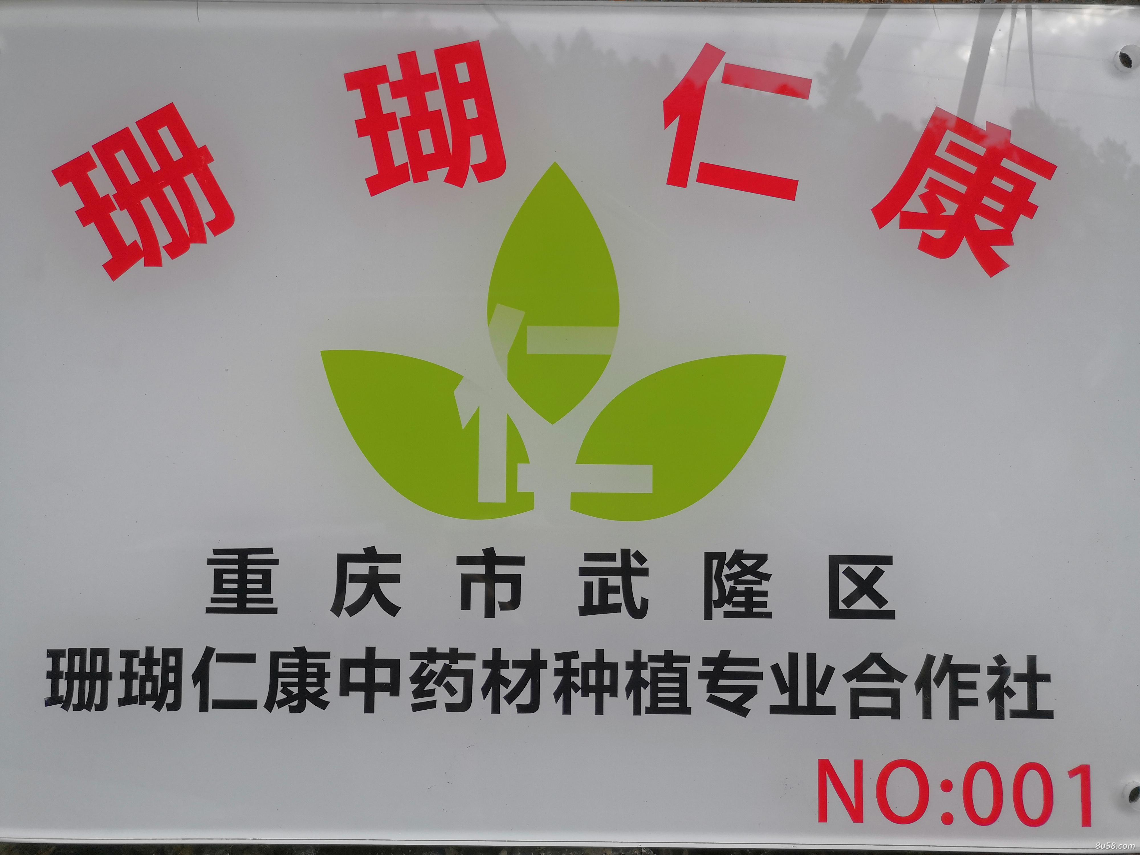 重庆珊瑚仁康种植加工合作社