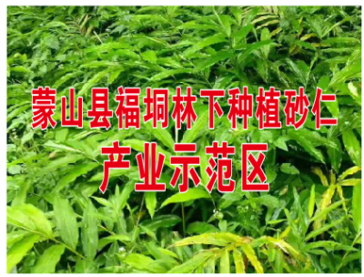 蒙山县福垌砂仁生物有限公司