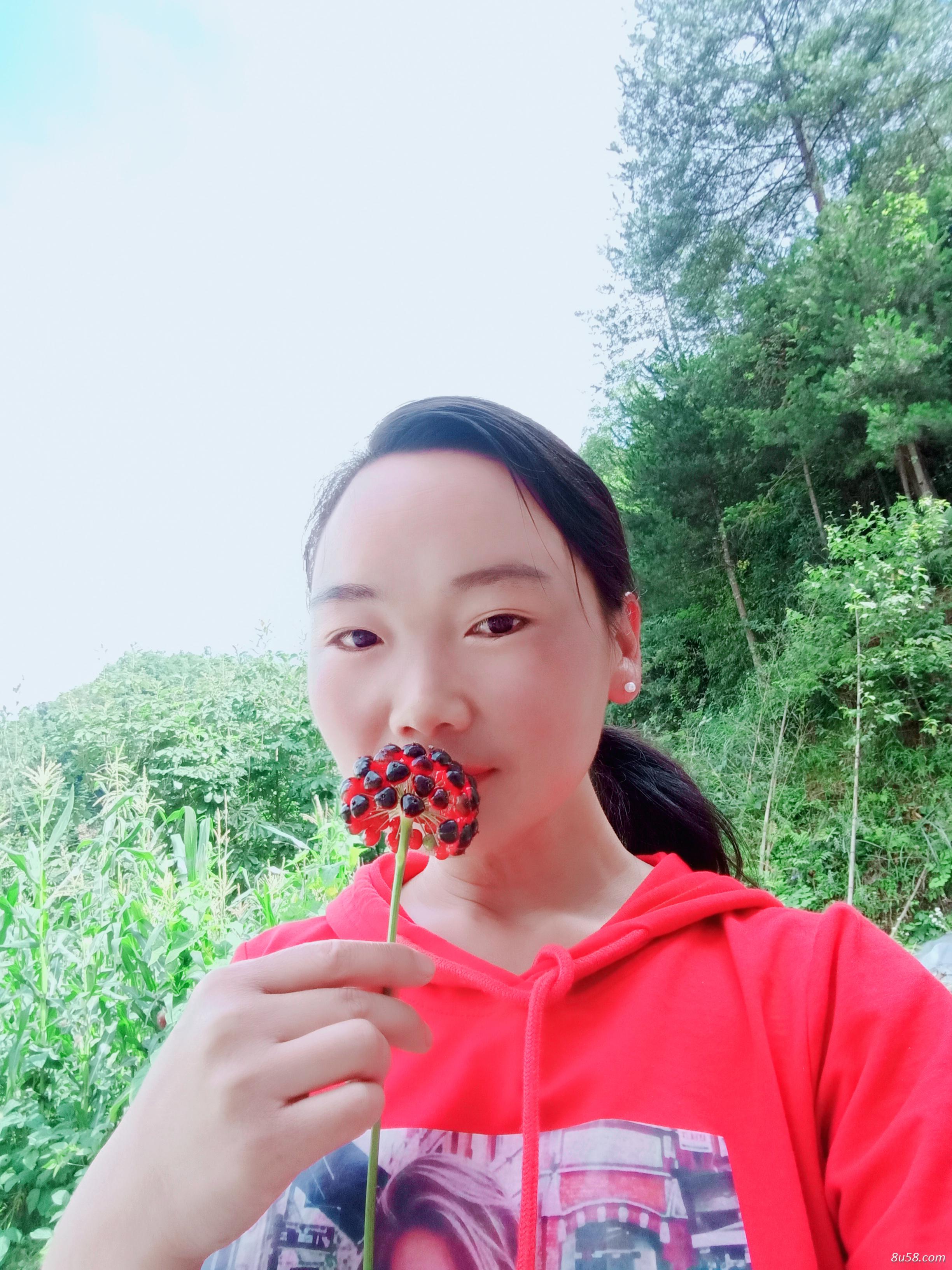 宣恩县椿木营神农药材专业合作社