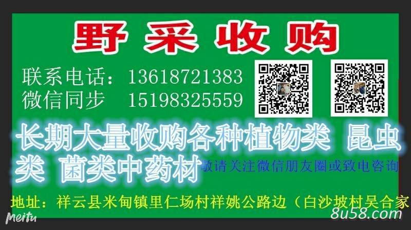 祥云县野采收购
