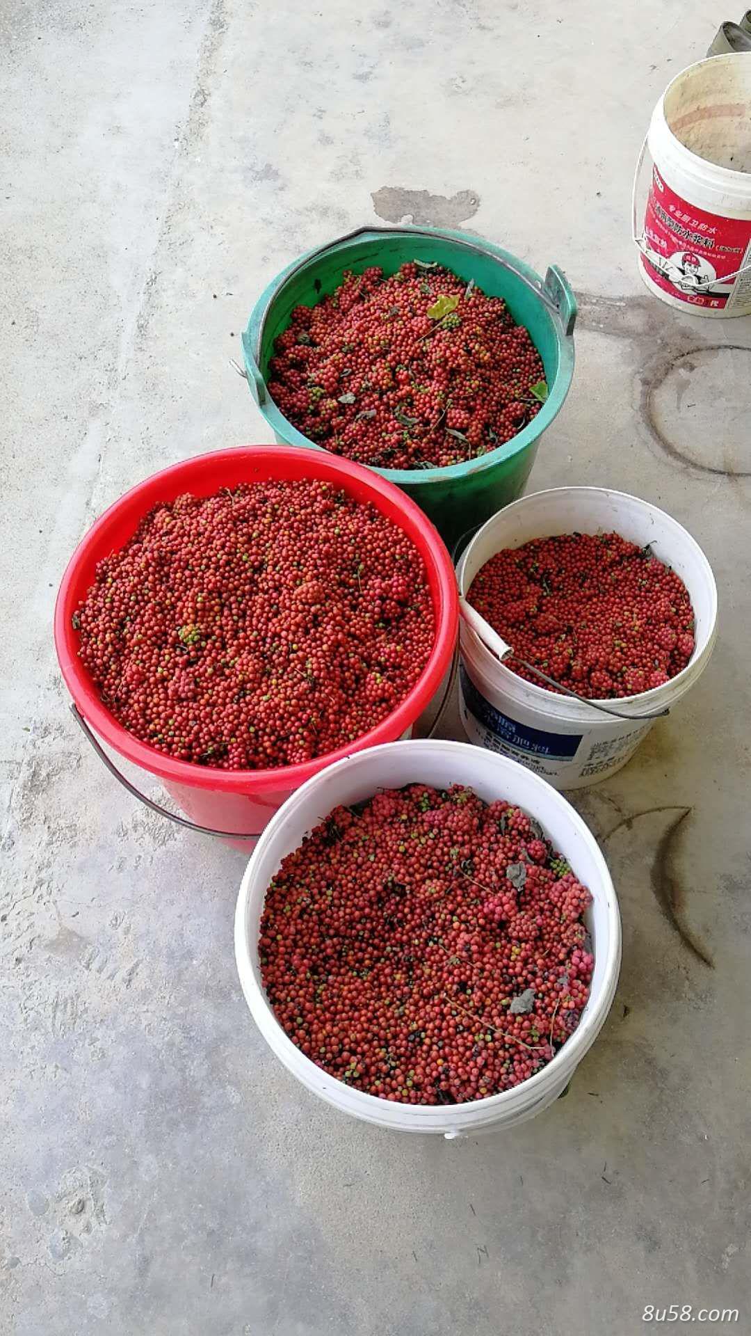 潘飞