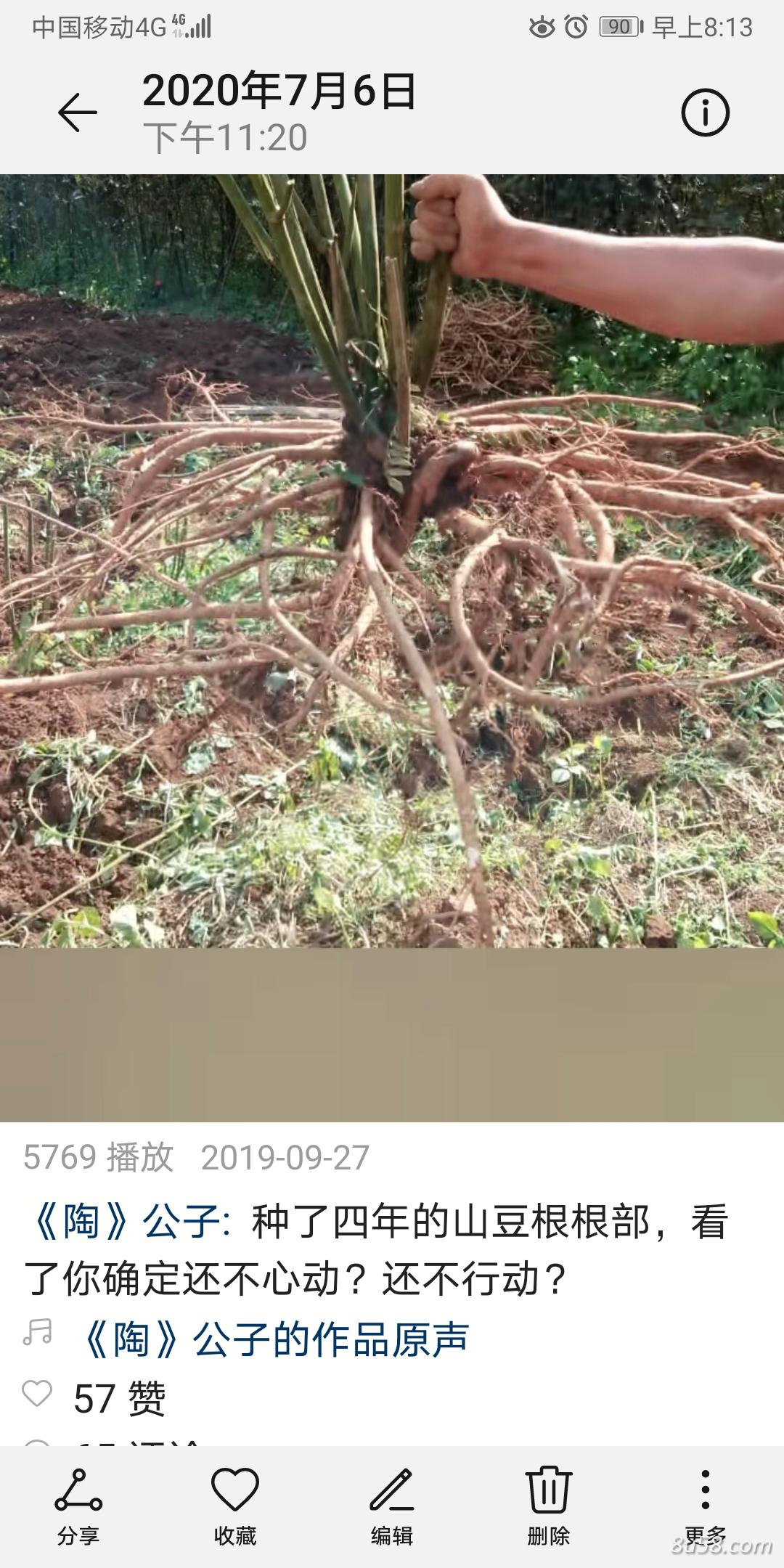 广南县山豆根种植合作社
