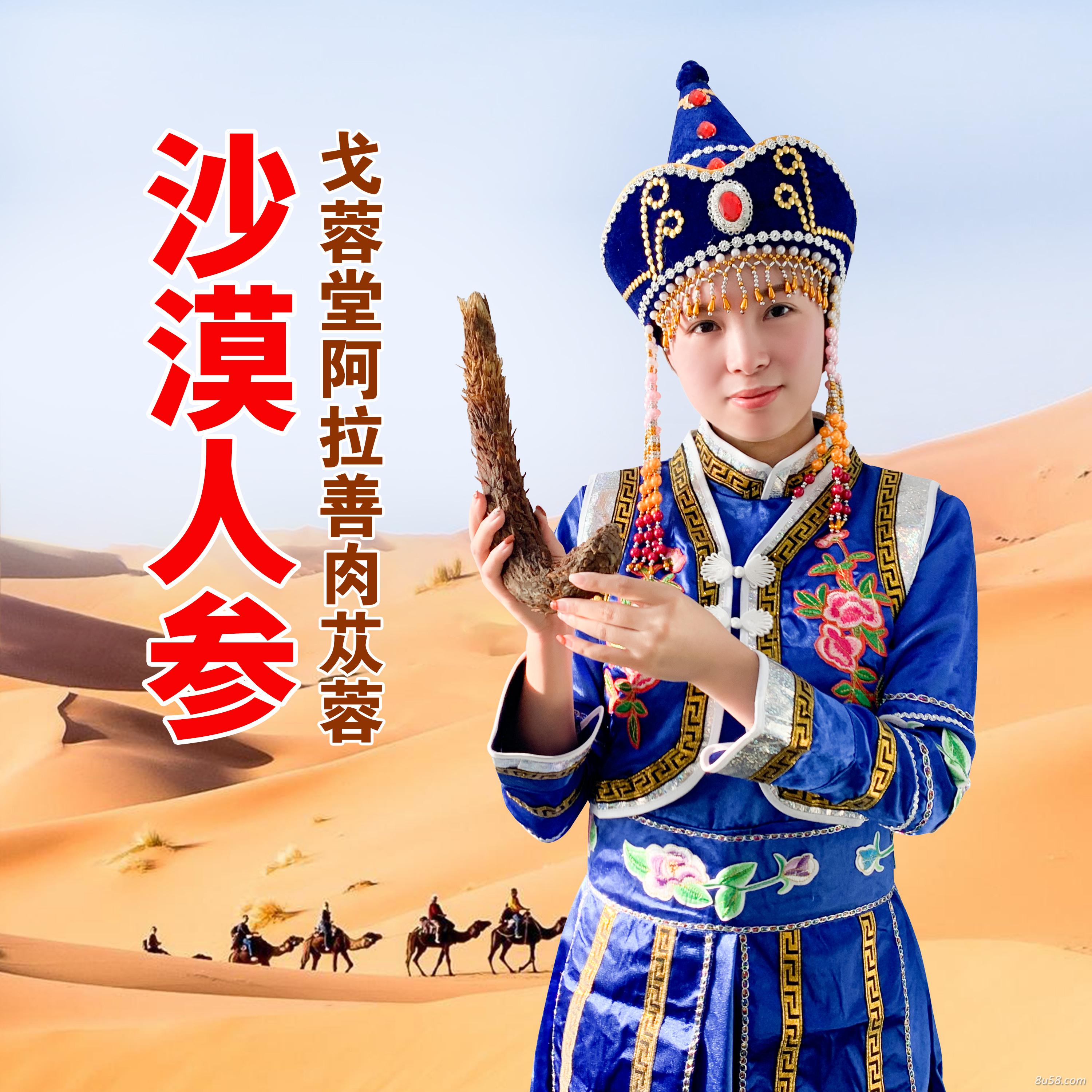 戈蓉堂阿拉善肉苁蓉
