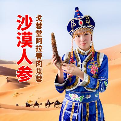 戈蓉堂阿拉善肉苁蓉