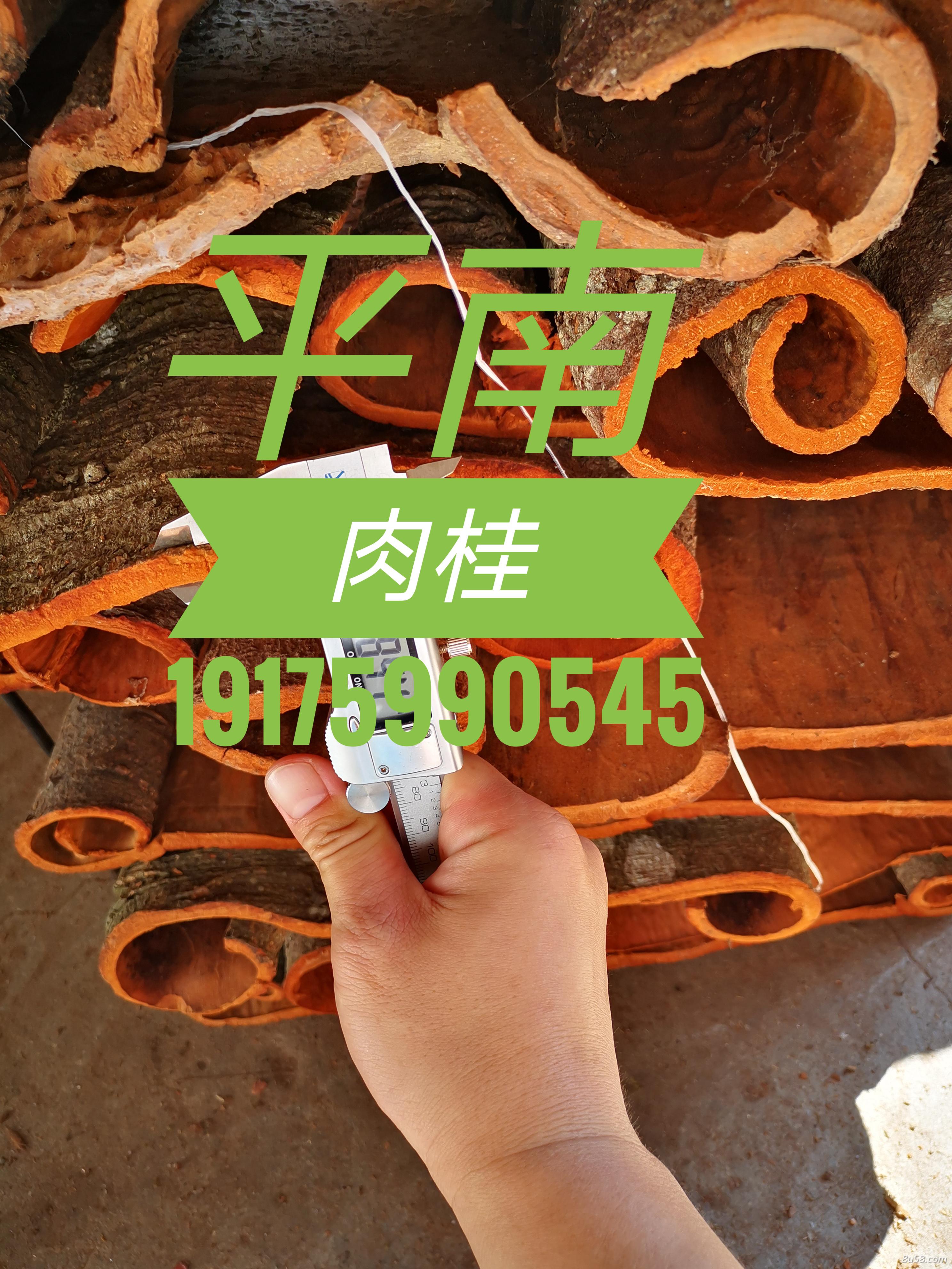 广西平南陈桂香辛料种植合作社