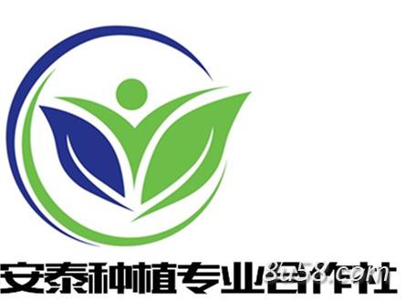 安泰药材种苗 安泰药材种苗