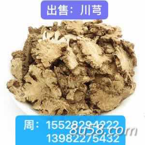 周先生