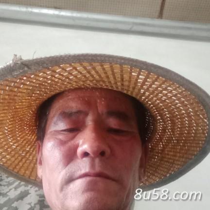 范斌