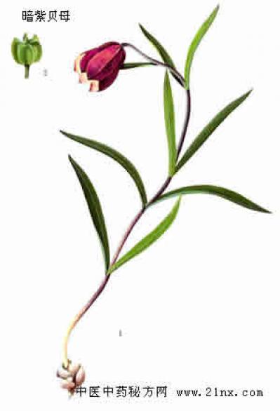 会泽思农种植有限公司