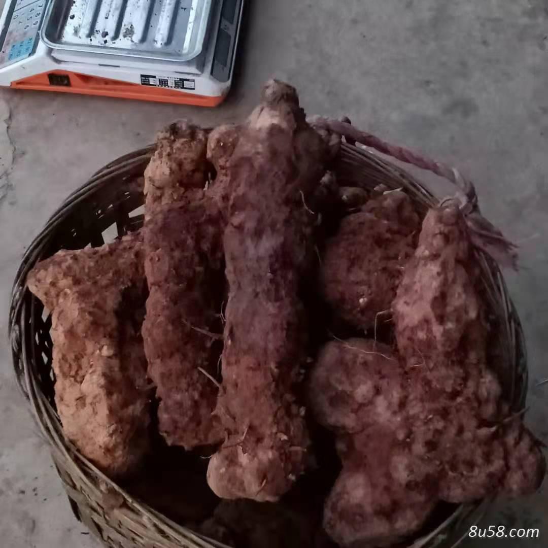 刘先生