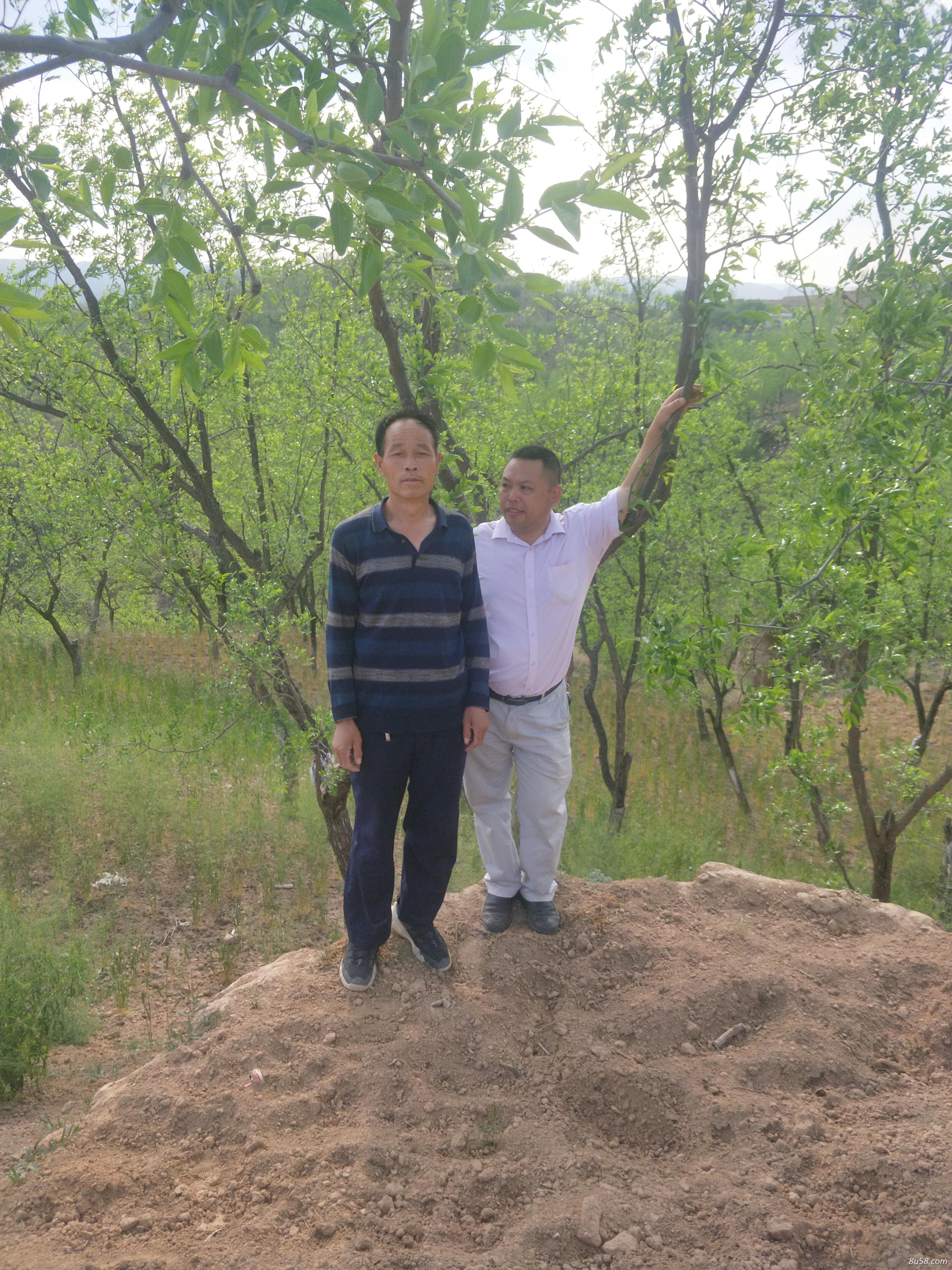 深圳皇族模特艺人经纪有限公司