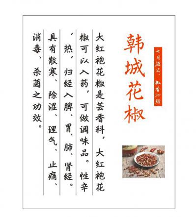 史先生
