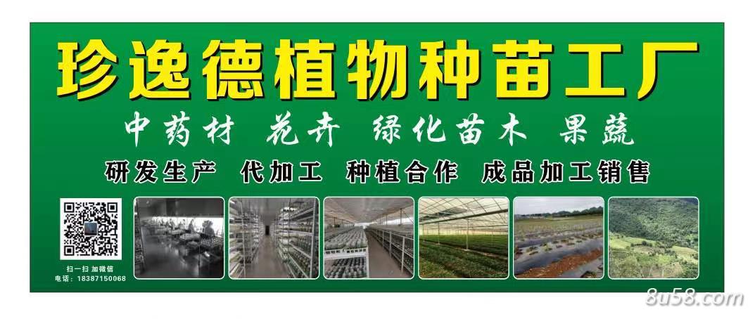 云南珍逸德农业科技有限公司