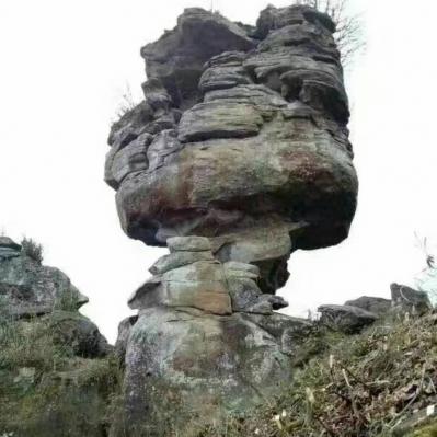 四川达州靠山吃山中药材种植合作社 四川达州靠山吃山中药材种植合作社