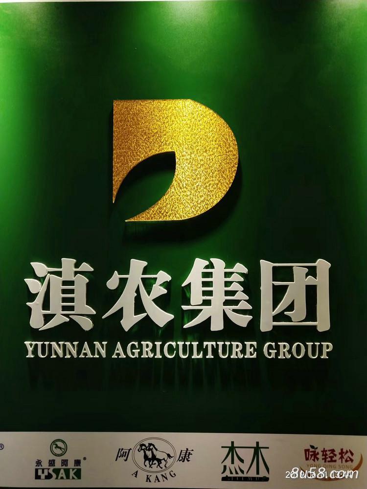 云南滇农集团有限公司 云南滇农集团有限公司