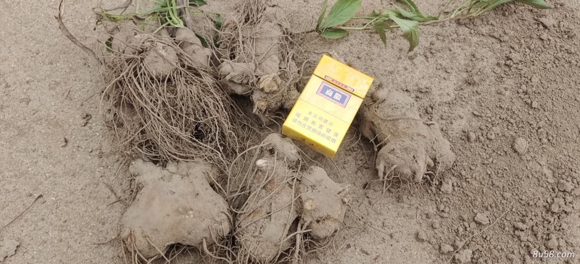 安徽省亳州刚刚好生物科技有限公司