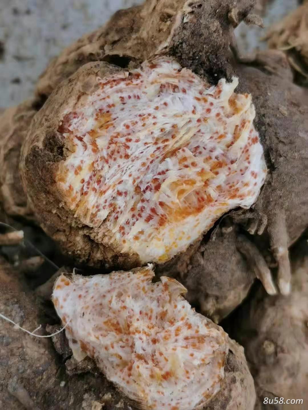 郭老板