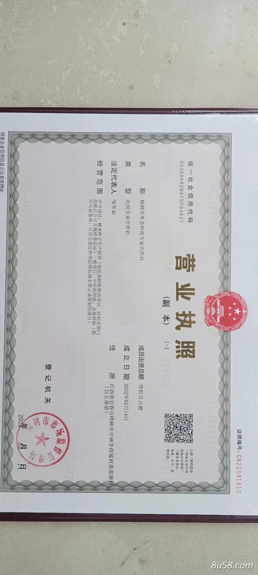 胡赵刚