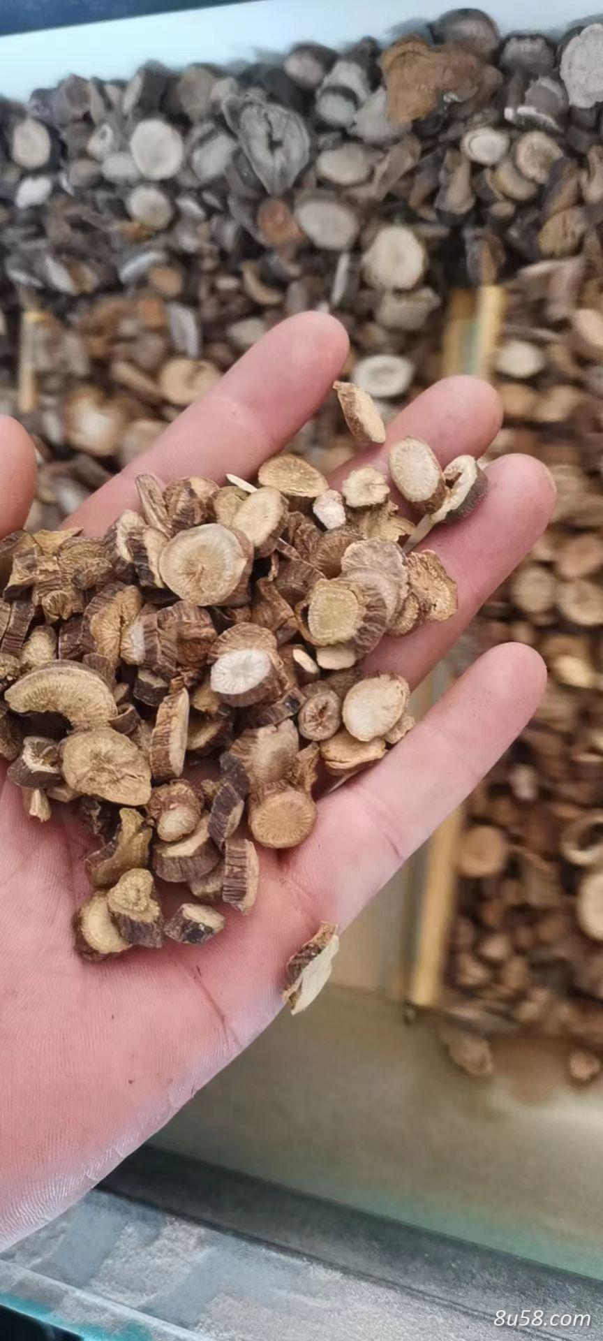 浩菲药业有限公司