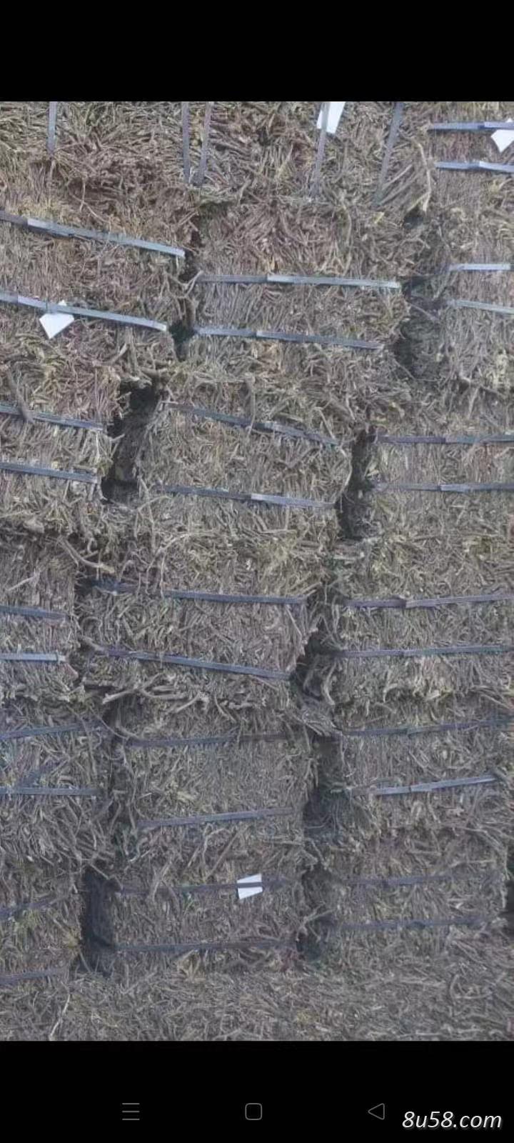 郭金升