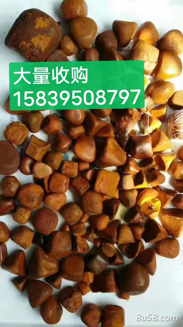 袁先生