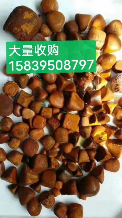 袁先生