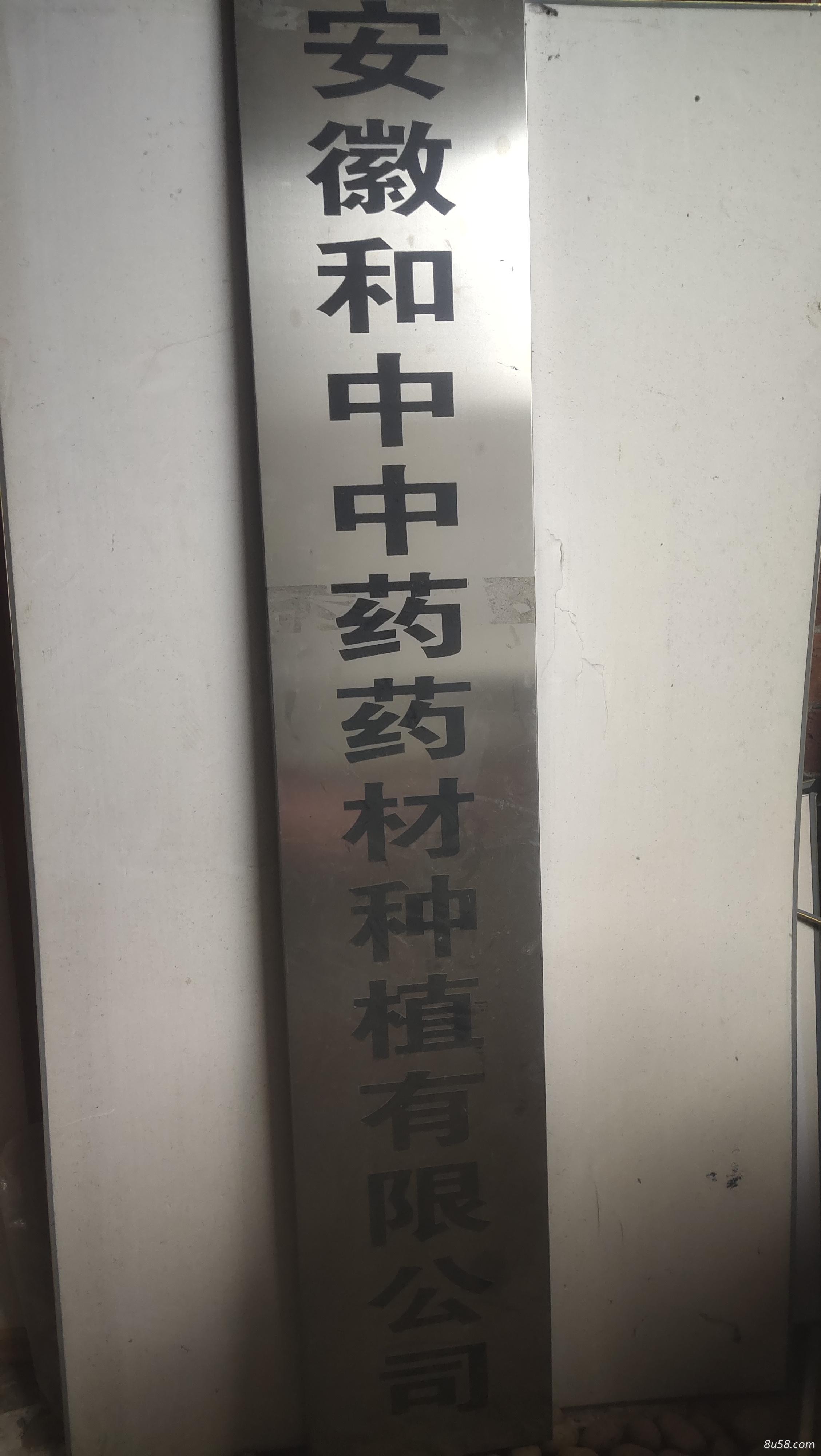 安徽和中中药药材种植有限公司