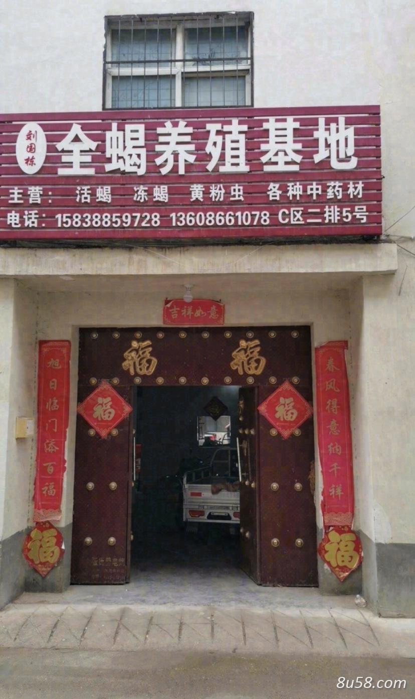 刘国栋