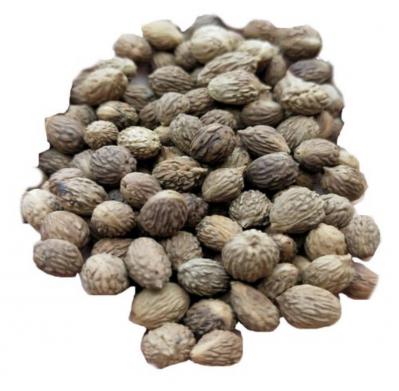 木林药材收购站 木林药材收购站
