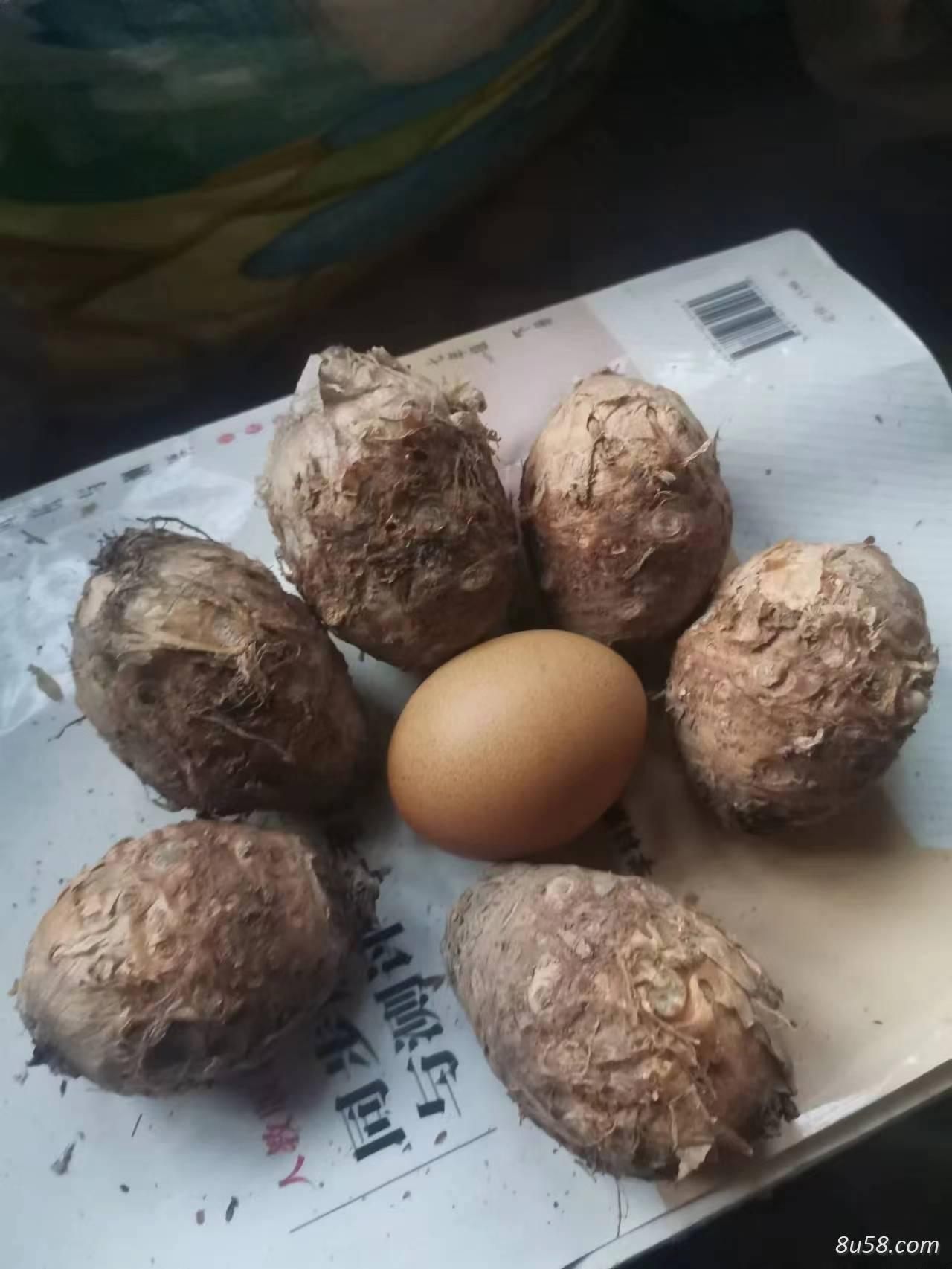 王先生