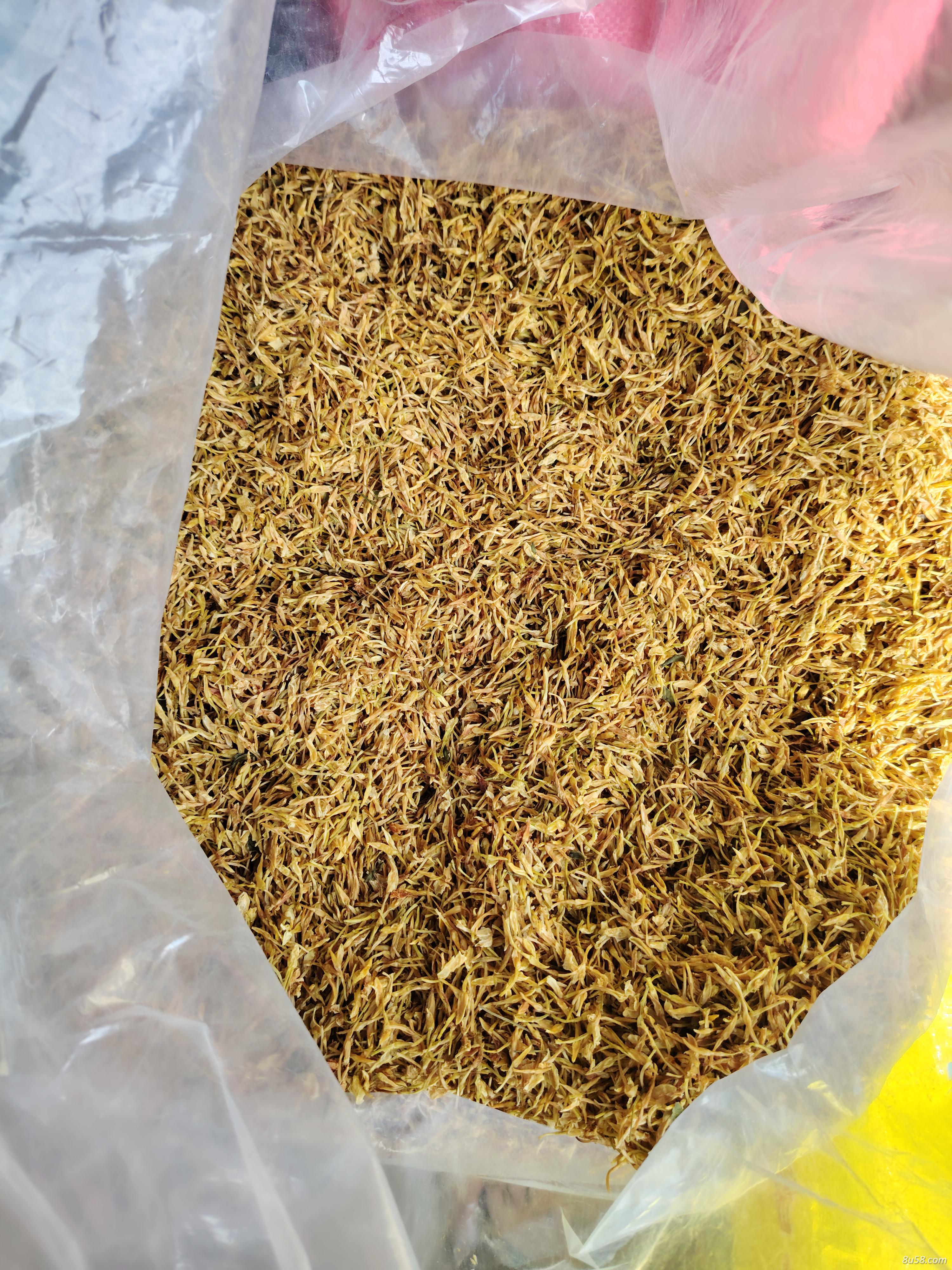 素馨花供求