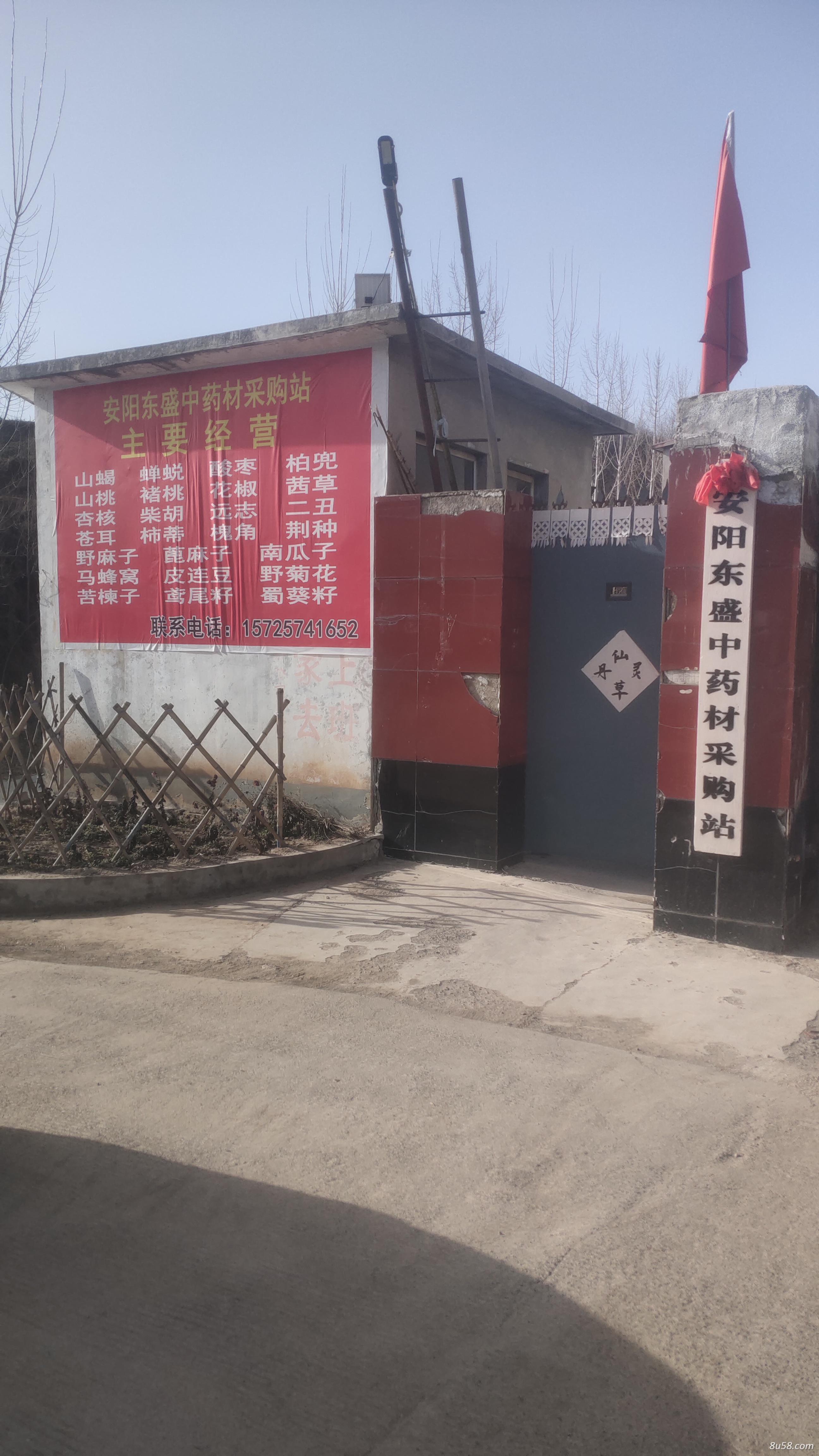 安阳东盛中药材采购站