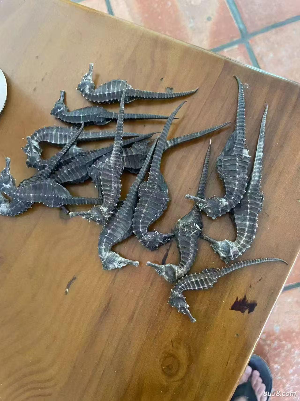 海货干品批发零售